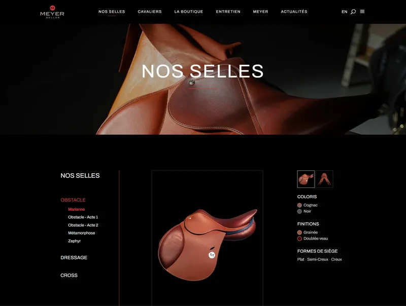 Meyer Selles